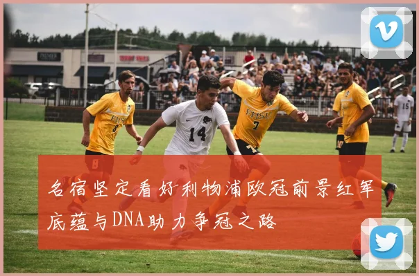 名宿坚定看好利物浦欧冠前景红军底蕴与DNA助力争冠之路