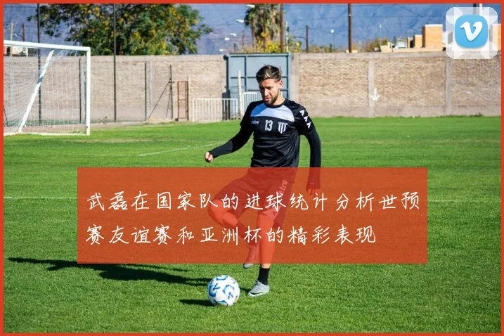武磊在国家队的进球统计分析世预赛友谊赛和亚洲杯的精彩表现