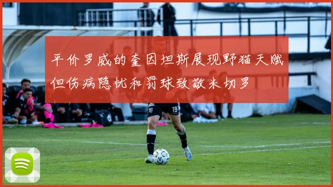 平价罗威的奎因坦斯展现野猫天赋但伤病隐忧和罚球致敬米切罗